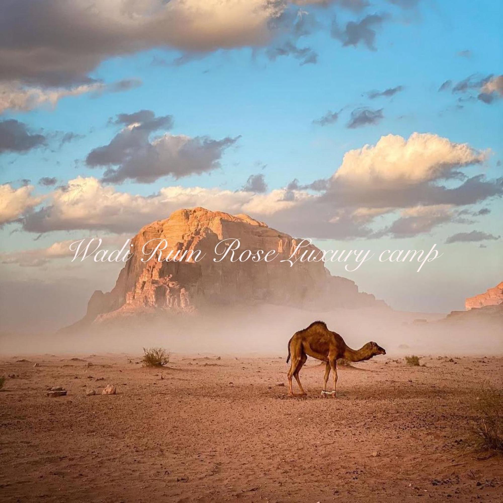 Wadi Rum Rose Luxury Camp Exterior photo