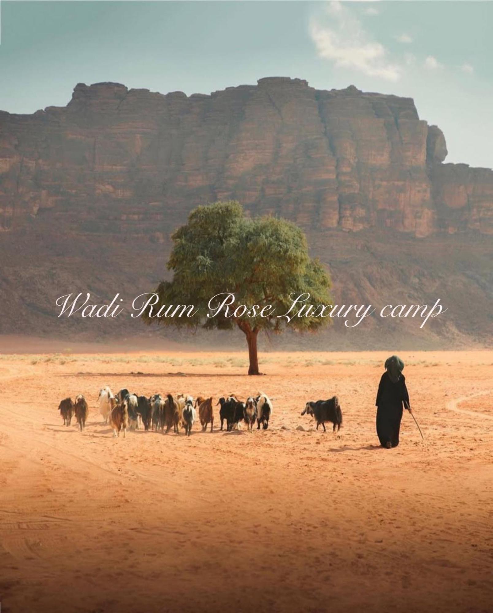 Wadi Rum Rose Luxury Camp Exterior photo